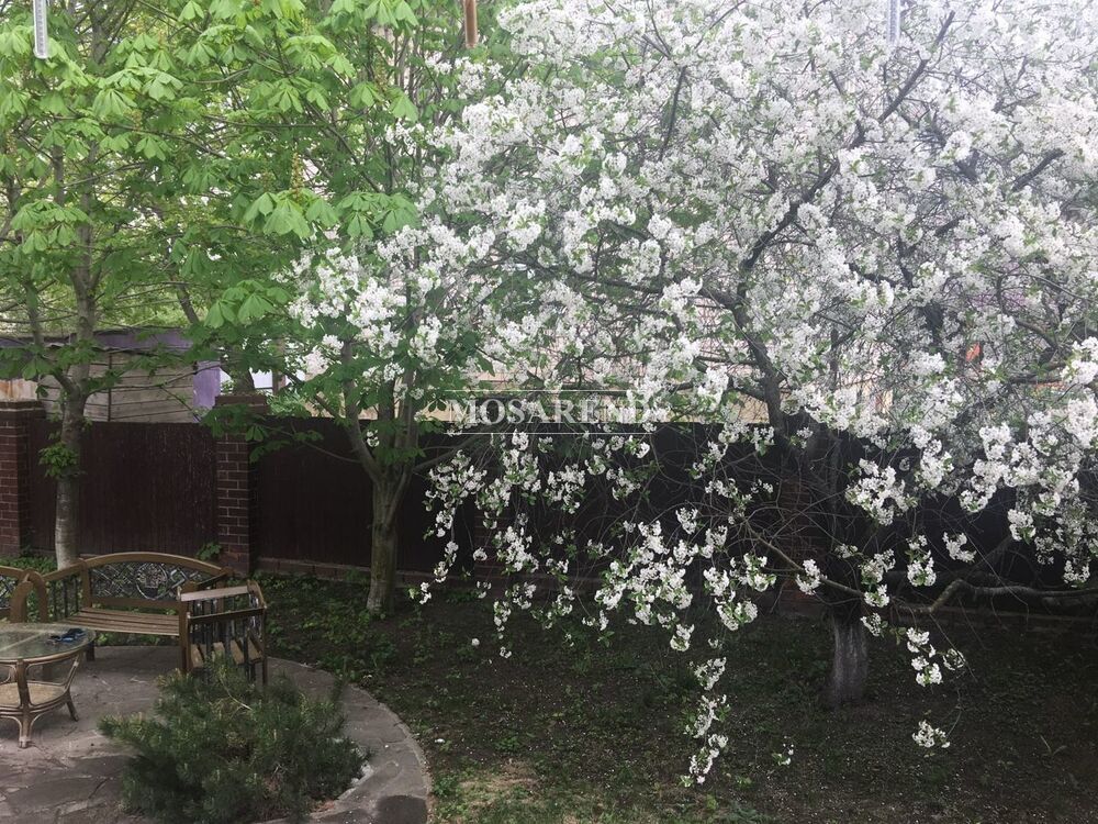 Коттедж на 15 человек