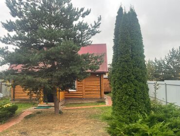 Коттедж на 12 человек