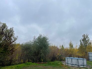 Коттедж на 12 человек