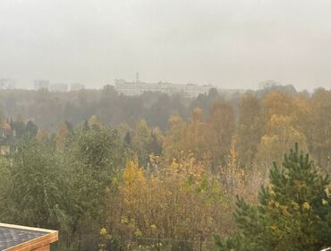 Коттедж на 12 человек