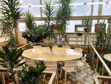 Коттедж на 17 человек