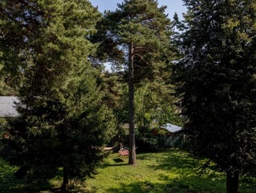 Коттедж на 35 человек