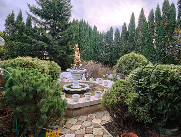 Коттедж на 20 мест