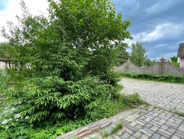 Коттедж на 100 человек