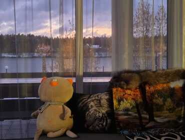 Коттедж на 10 человек