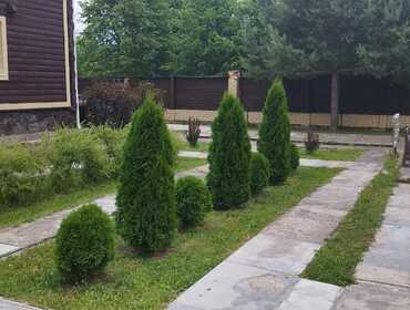 Коттедж на 33 человек