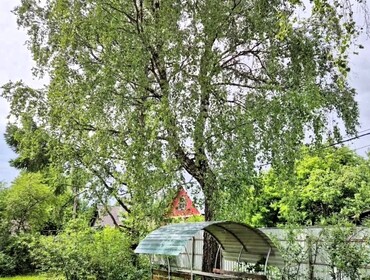 Коттедж на 15 человек