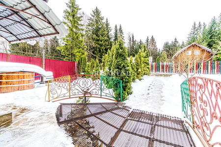 medium_413-dsc03853